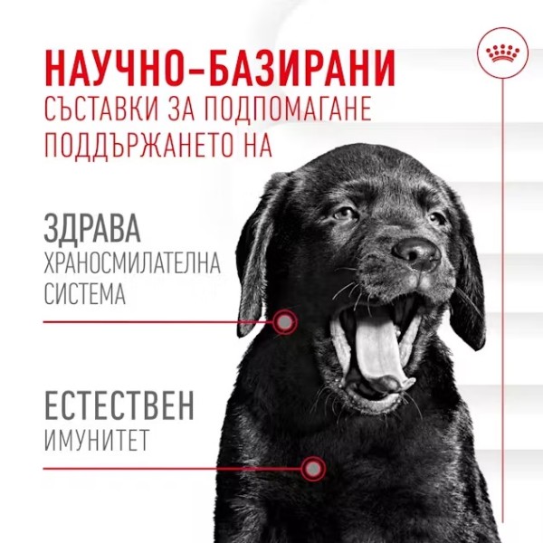 Royal Canin Puppy Suppllement Immunity and Digestion - Хранителна добавка за малки кученца за имунитет и добро храносмилане